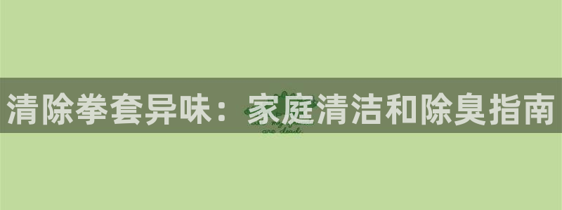 凯时首页登录：清除拳套异味：家庭清洁和除臭指南