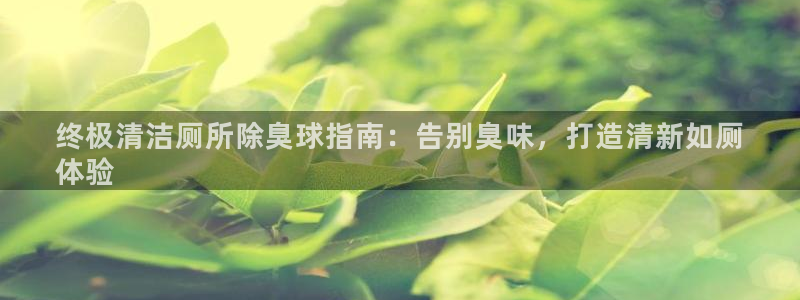 d88尊龙手机客户端下载：终极清洁厕所除臭球指南：告别臭